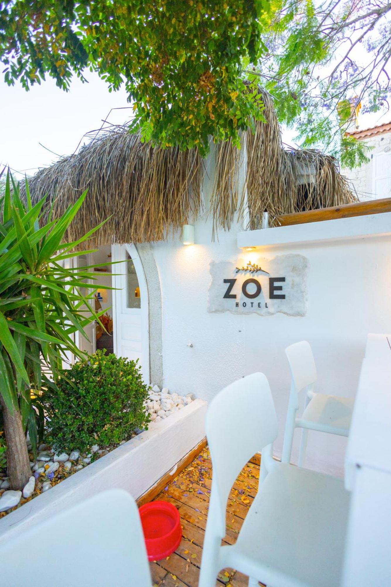 Zoe ألاتشاتي المظهر الخارجي الصورة